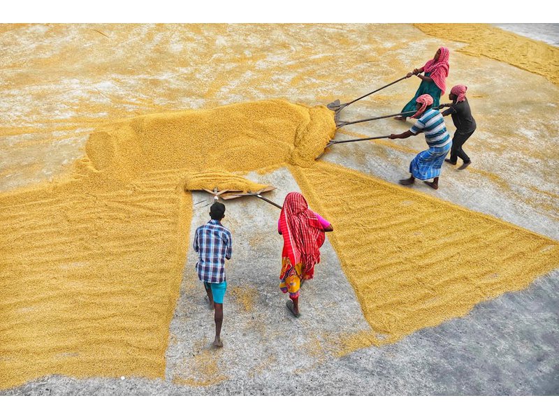 100 farm workers strike