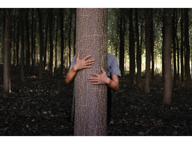 140 hiding escape and false identities