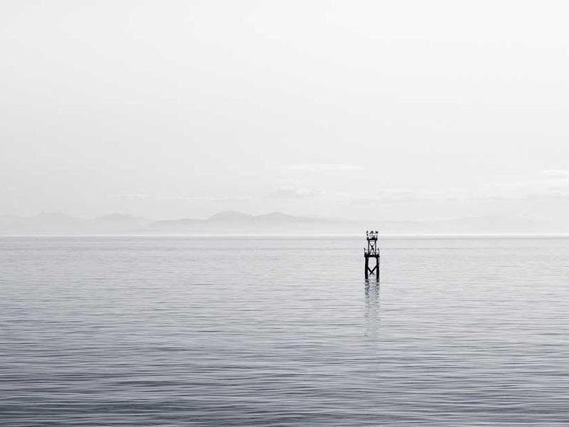 146 judicial noncooperation banner