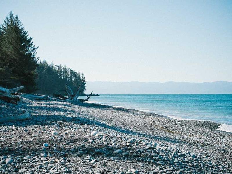 147 deliberate inefficiency and selective noncooperation by enforcement agents