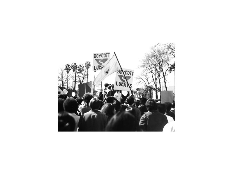 002 letters of opposition or support