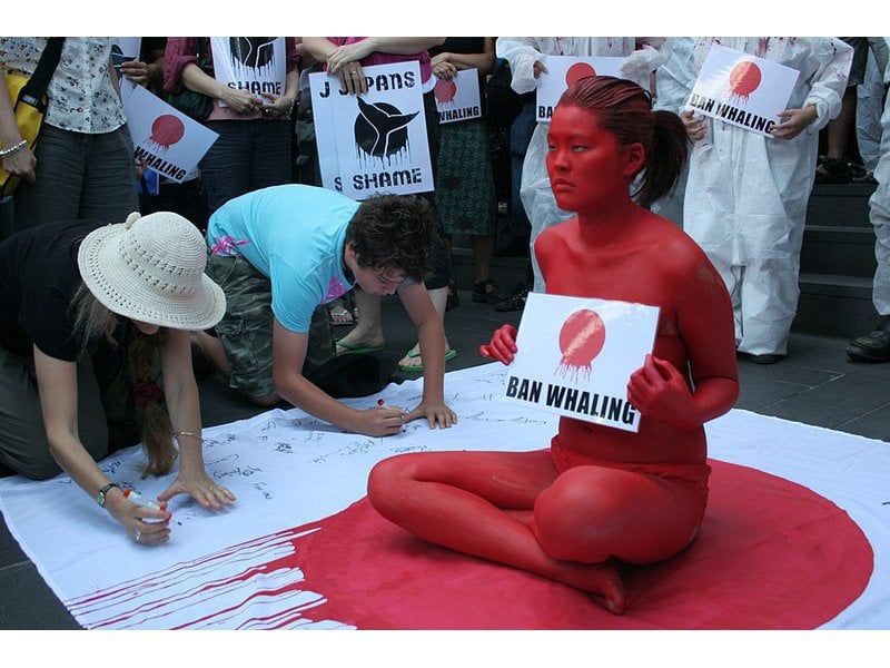 004 signed public statements